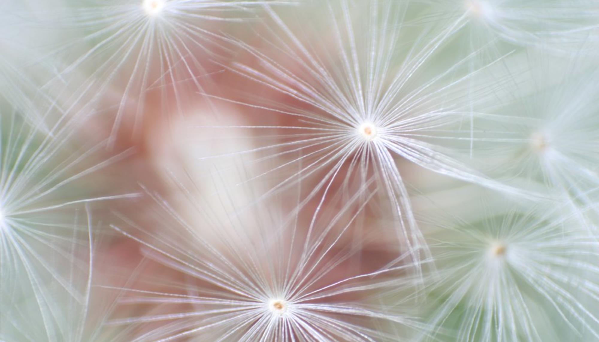 La incompletitud gozosa de Gödel